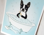 Bathtime Boston Terrier - Eco-Friendly 8x10 Print