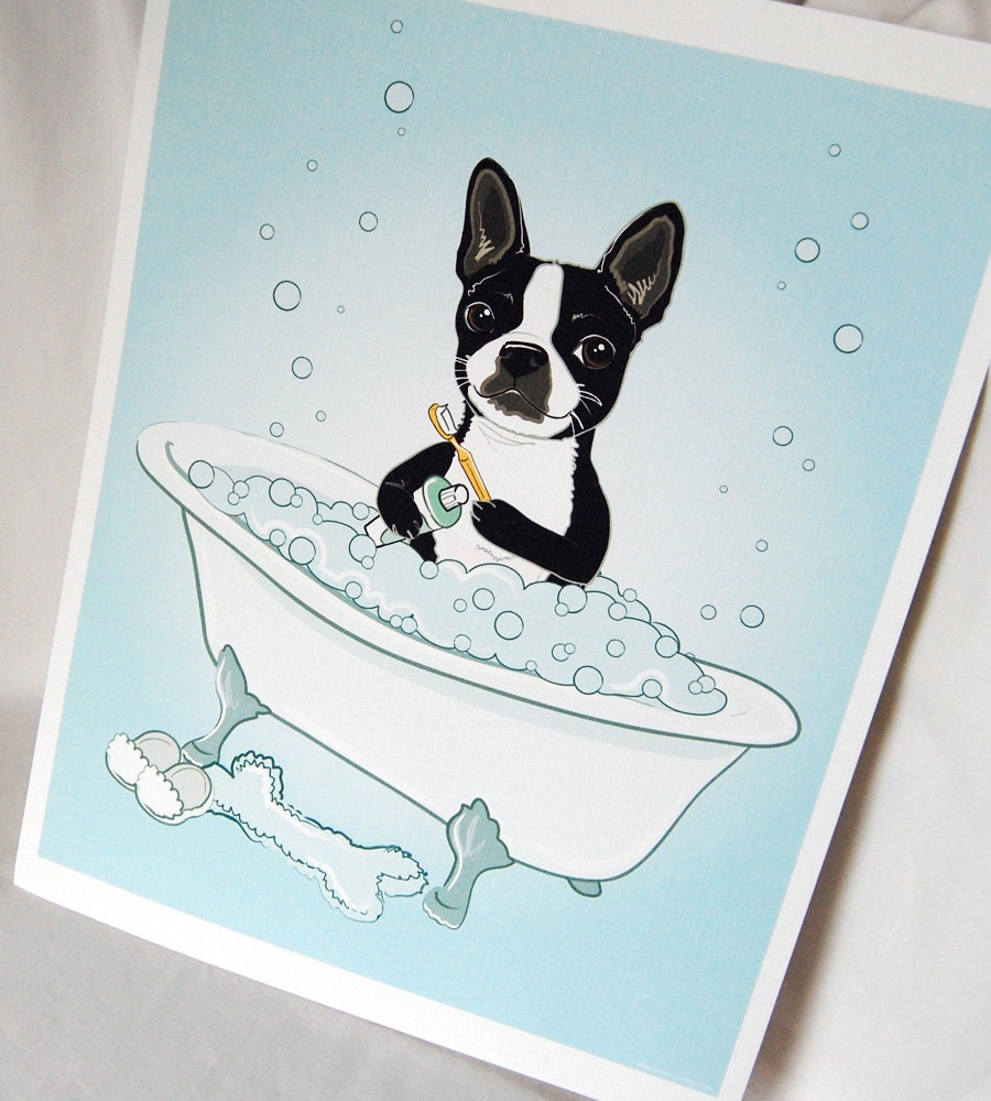 Bathtime Boston Terrier - Eco-Friendly 8x10 Print