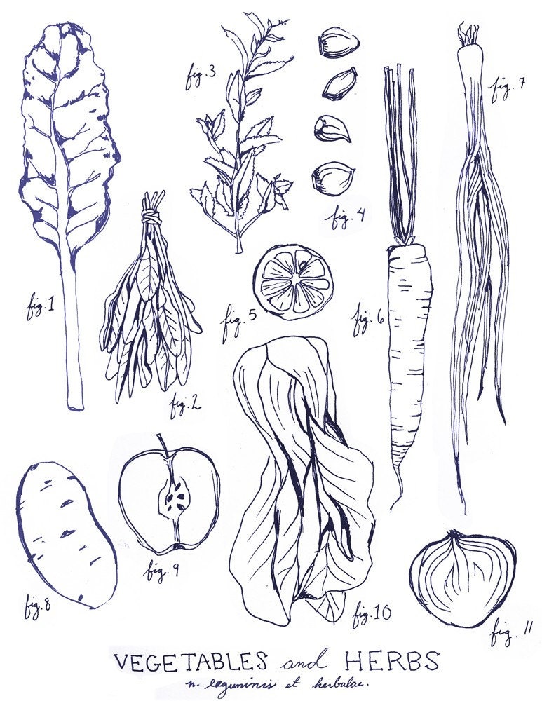 Vegetables and Herbs, Legumes Print