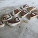 RESERVED - Brown Beach Pottery Collection of Ten - Tiny Owls