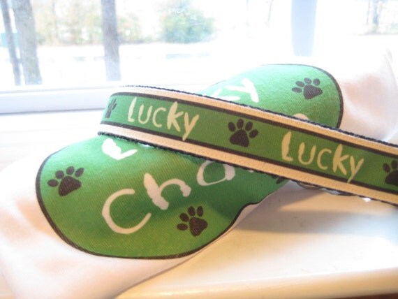 Lucky Charm St. Patrick's Day Dog Tshirt