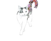 Kitty, flowers. 8x10 print