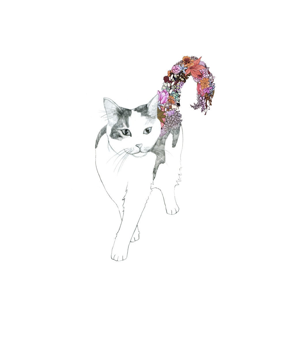 Kitty, flowers. 8x10 print