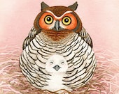 Momma and Baby Owl - 8x10 ORIGINAL watercolor painting by Tracy Lizotte