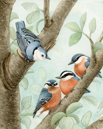 Bird Tree with Nuthatches - 8x10 archival watercolor print by Tracy Lizotte