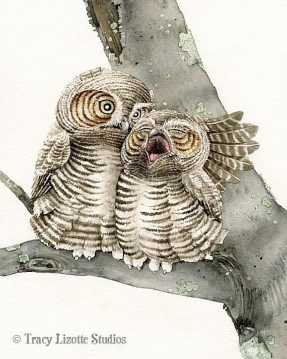Good Night Owls - 8x10 archival watercolor print by Tracy Lizotte