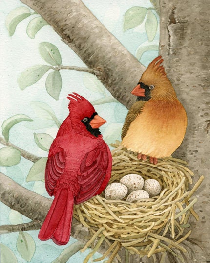 Bird Tree with Cardinals - 8x10 archival watercolor print by Tracy Lizotte