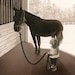 Girl With Horse - 8x10 archival watercolor print by Tracy Lizotte