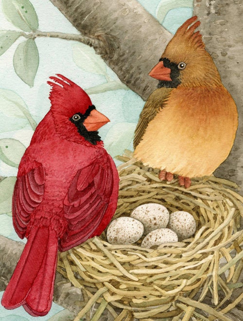 Bird Tree with Cardinals - 8x10 archival watercolor print by Tracy Lizotte