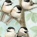 Bird Tree with Chickadees - 8x10 archival watercolor print by Tracy Lizotte
