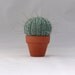 Quick and Easy Cactus Pin Cushion - INSTANT DOWNLOAD PDF Knitting Pattern