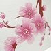 Cherry Blossom Cards - Large Blossom