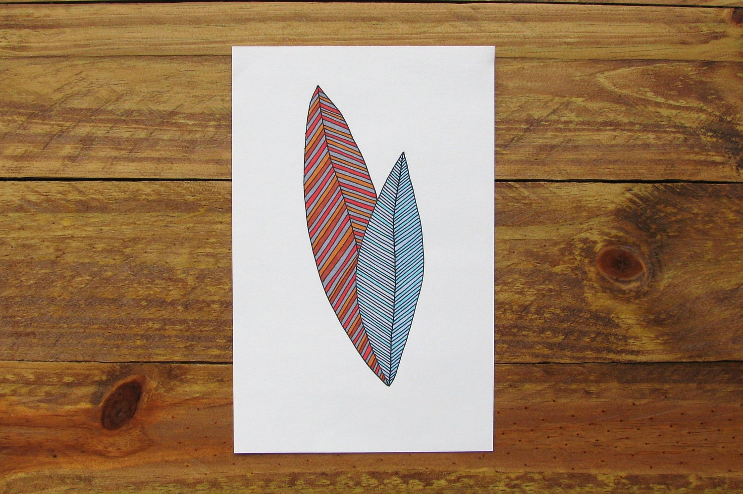 Indian Summer Feathers