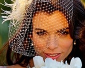 Bridal Fascinator and Birdcage Veil, Wedding Flower Hairclip, Feather Hair Accessories, RACHEL VIVA (2 items)