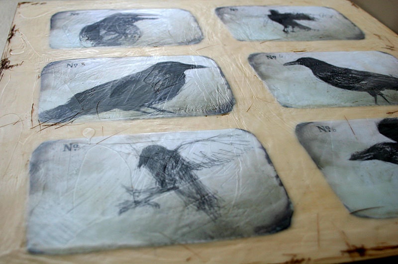 Notes on Crows II - ink drawing and encaustic painting