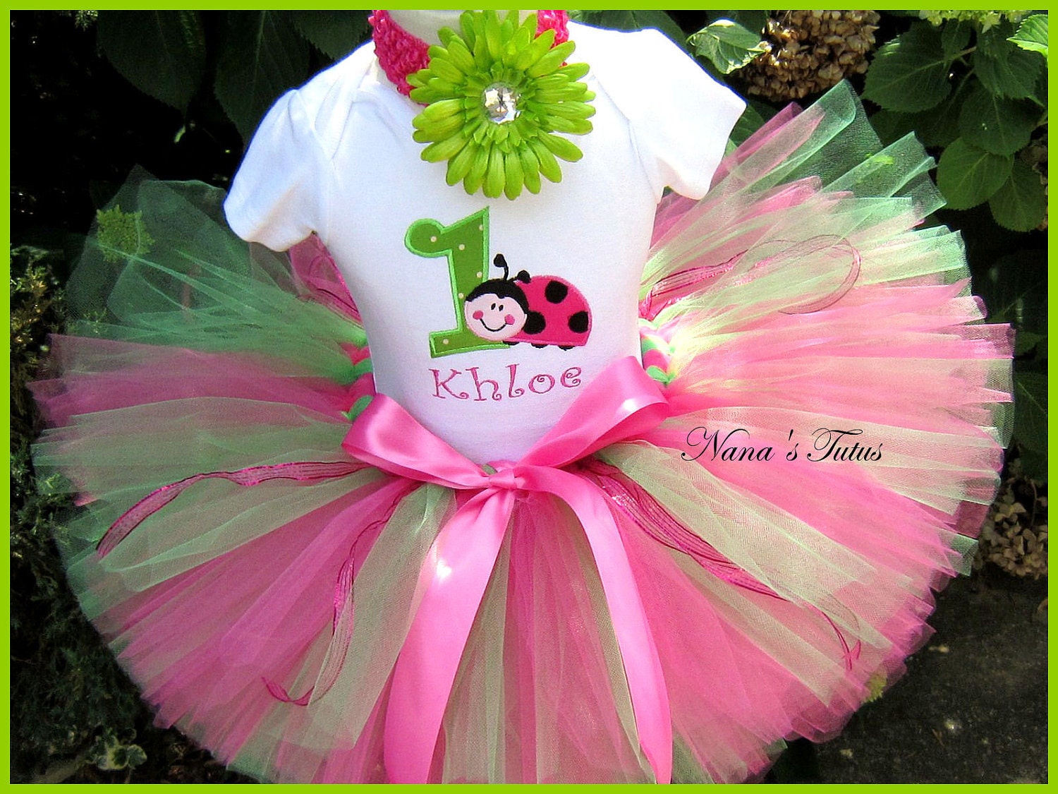 Hot Pink, Ladybug with Number, Party Outfit ,Theme Party,Personalized,Birthday Tutu Set,  Sizes 1yr thru 5yrs