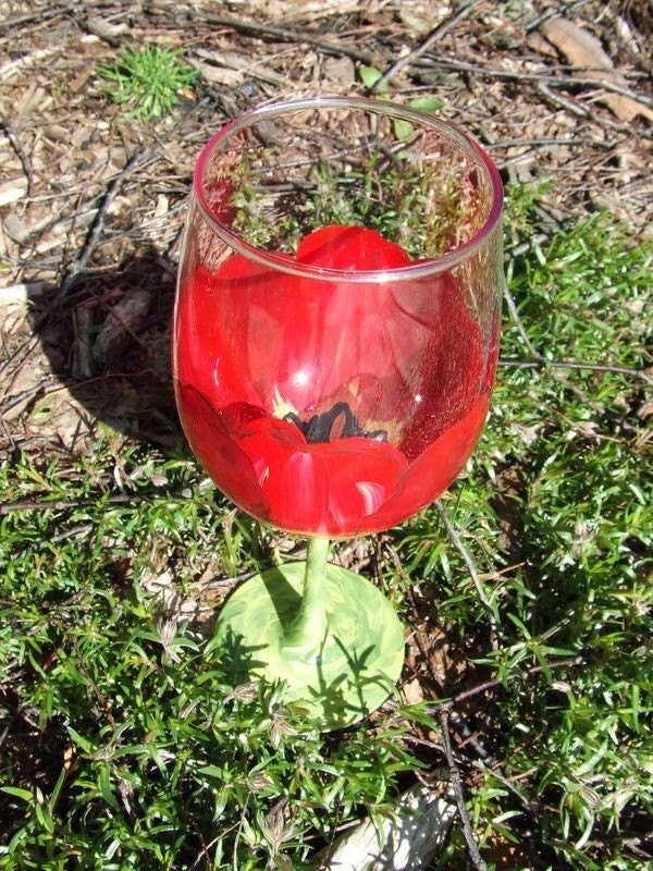 The Red Emperor Tulip