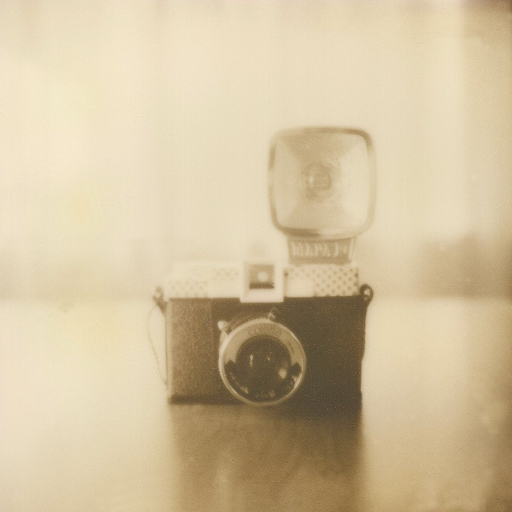 8x8 Signed Fine Art Polaroid Photograph- Camera Love - TheDizzyPixie