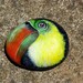 TOUCAN hand painted sea stone.
