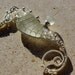 WHITE seahorse wire wrapped seaglass pendant.