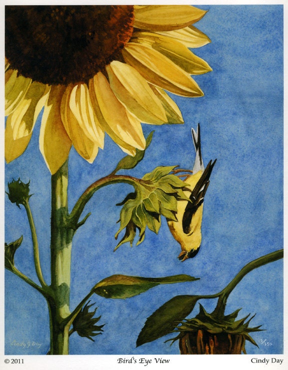 Goldfinch and Sunflower Watercolor giclee 8 x 10 print - Bird's Eye View