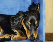 Dachshund Notecards by Cindy Day "LITTLE BOOKWORM"  pk-4