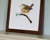 Wren Illustration Print - 8 x 8