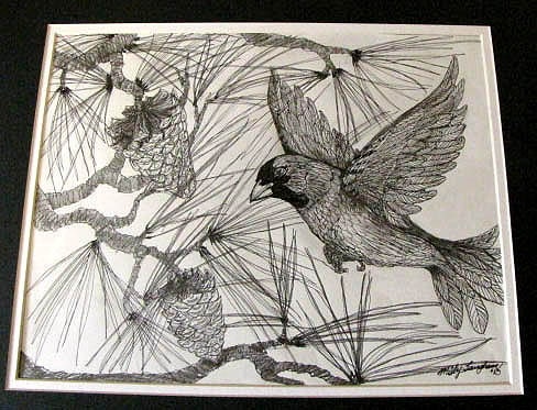 Original 16x20 Sparrow in Pine Tree ink and pencil drawing w matte board frame By Misty Langham