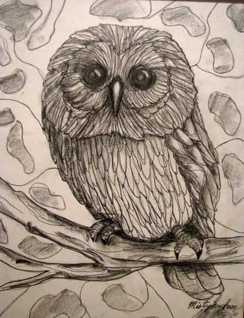 Original Pencil and Ink Drawing of Small Northern Saw-Whet Owl  16x 20 w Brown Matte Frame By Misty Langham