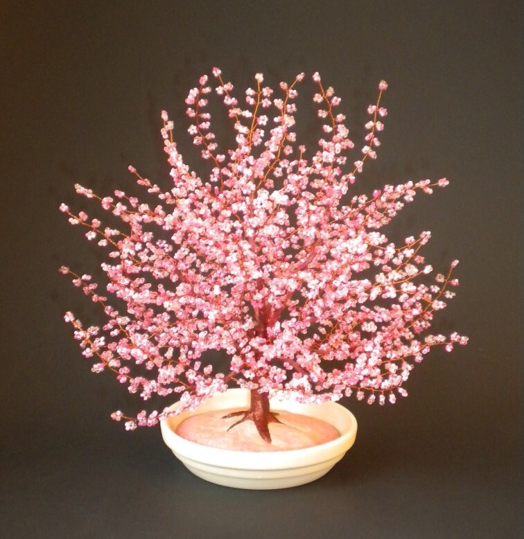 Bonsai Cherry Blossom