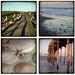 A Day at the Beach - 4 6x6 Prints