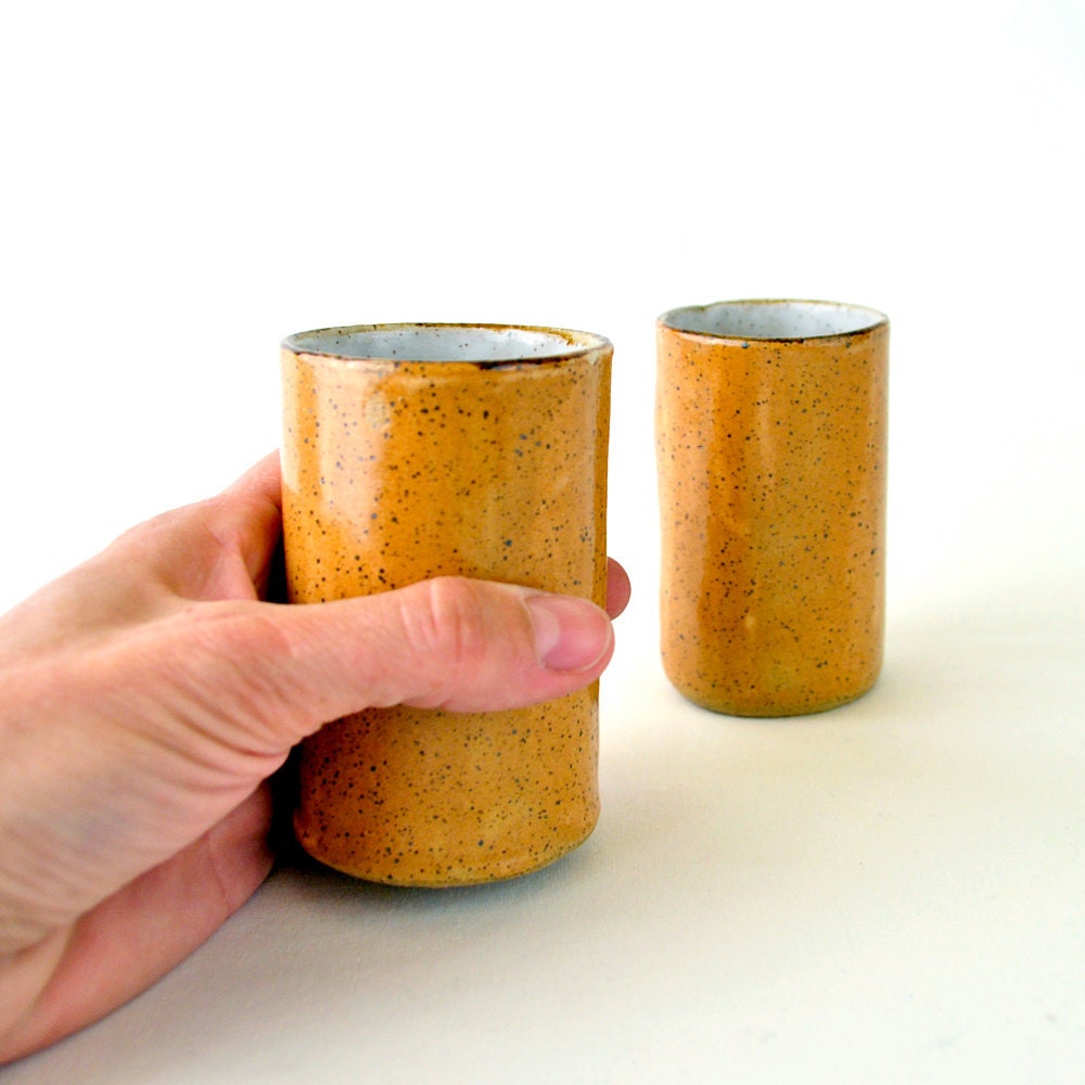 Stoneware Tumblers in Sienna and White (Set of 2)
