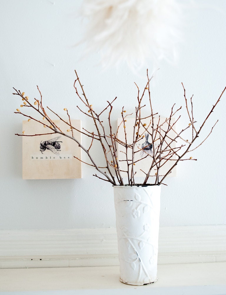 wooden canvases