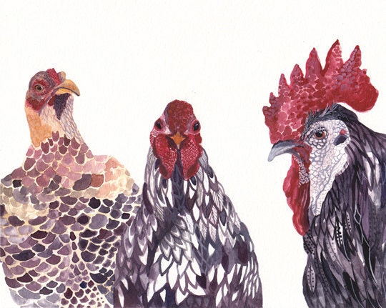 Three Chickens - Large Archival Print