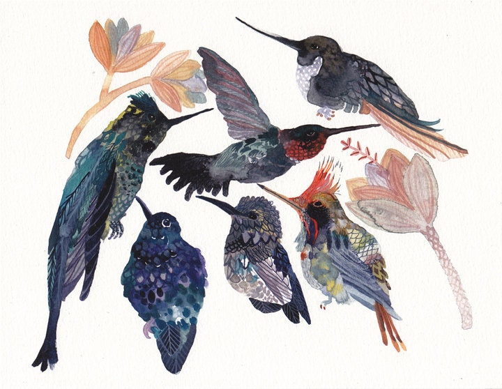 Hummingbirds and Succulent Blossoms- Archival Print