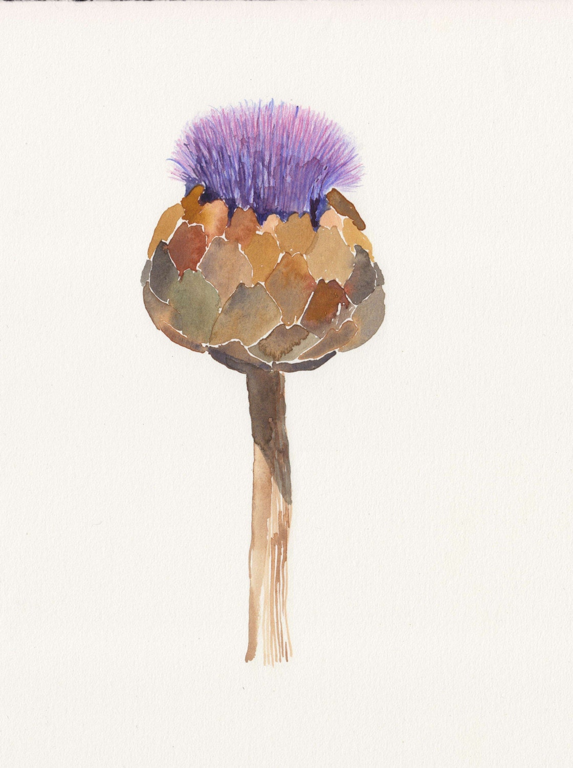Blooming Artichoke 2 - Original watercolor painting