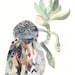 Burrowing Owl and Echeveria - Original watercolor painting
