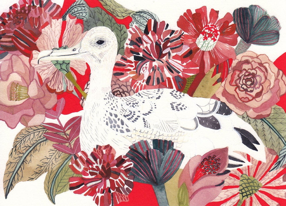 Albatross - Large Archival Print