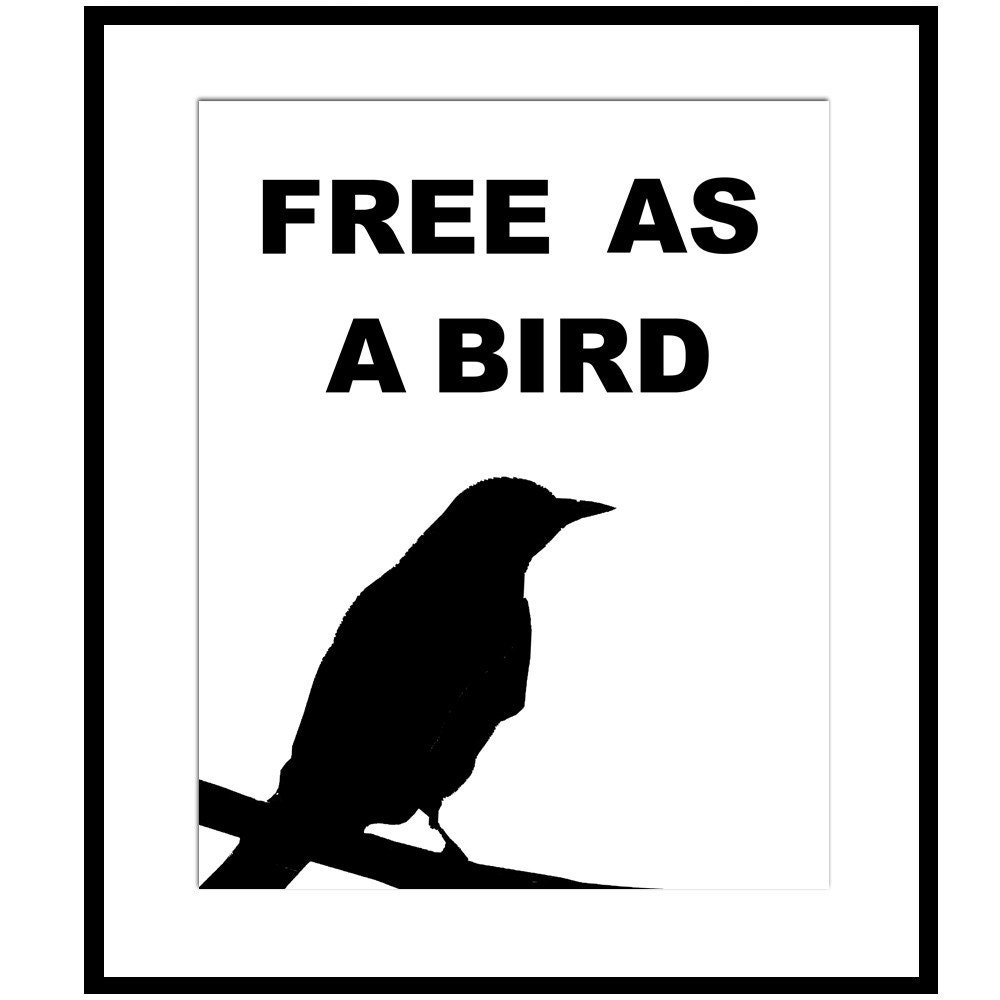 Free as a Bird - 8x10 Typography Print - Bird Silhouette with Quote - Choose Your Colors - Shown in Black and White