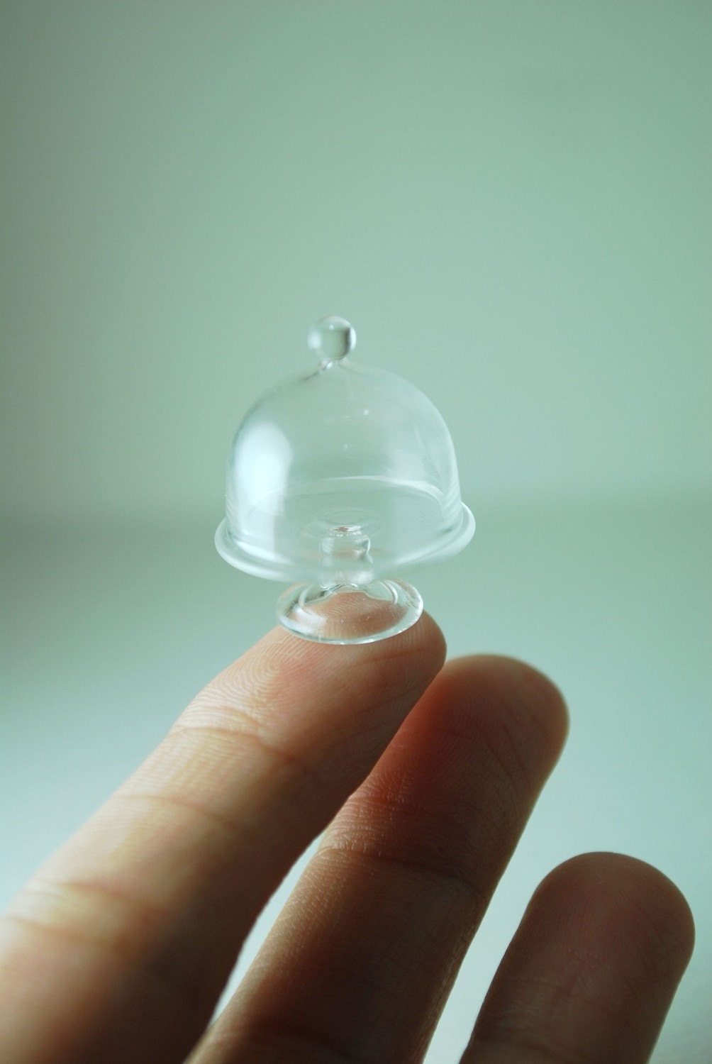 Miniature Glass Cake Case