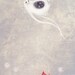 Star Belly Falling