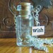 Custom Order For Anna -Tiny Glass Bottle Necklace Make a Wish Necklace with one tiny seed