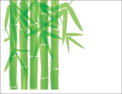 Bamboo Note Cards (Set of 10)
