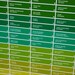Who's Who Wedding Genealogy Chart