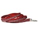 royal stewart plaid leash (1/2 inch)