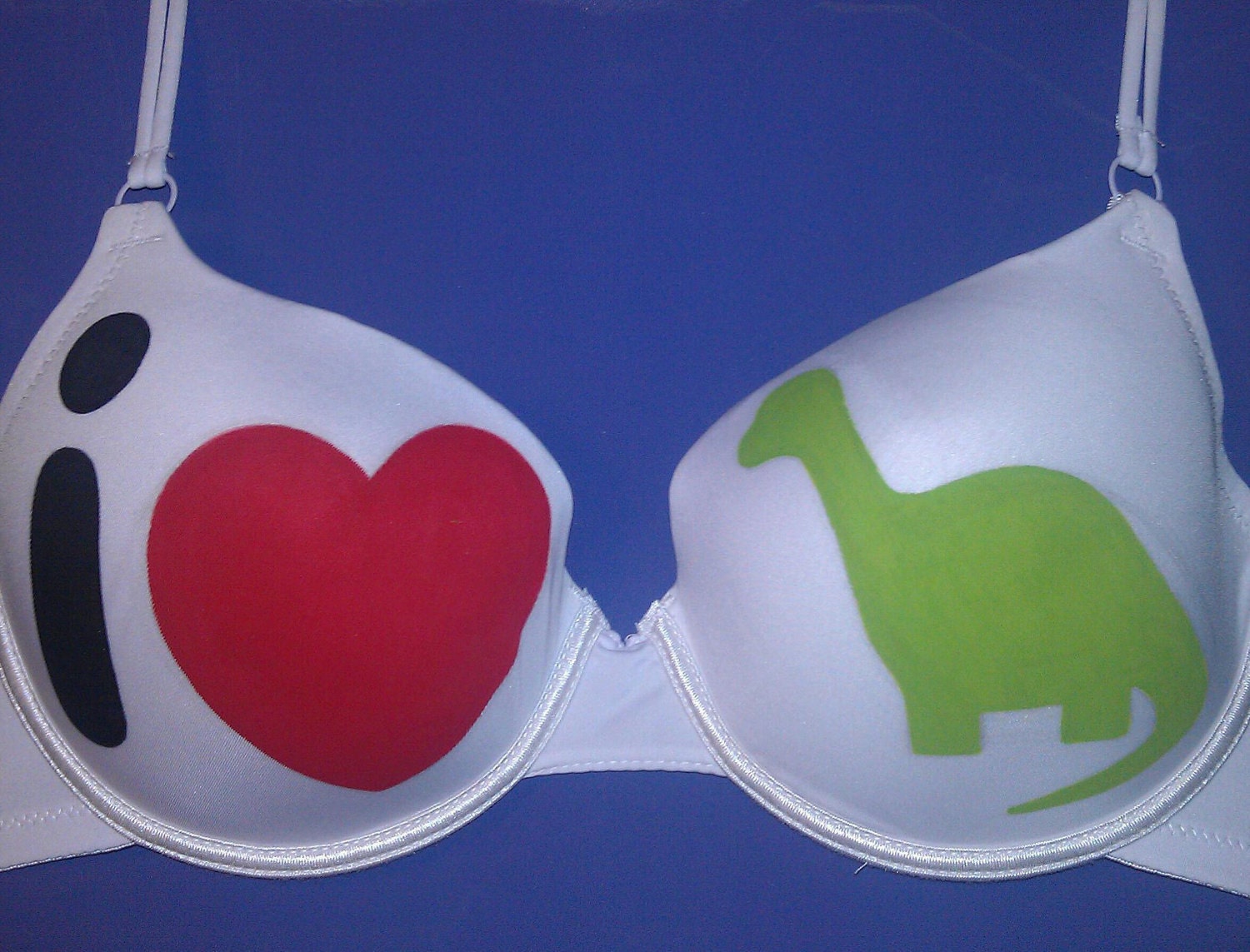 Handpainted i love dinosaurs Bra