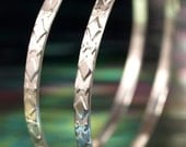 Hoop Earrings- Double Diamonds