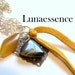 Pendant Venus Rising Tiger Eye Filigree