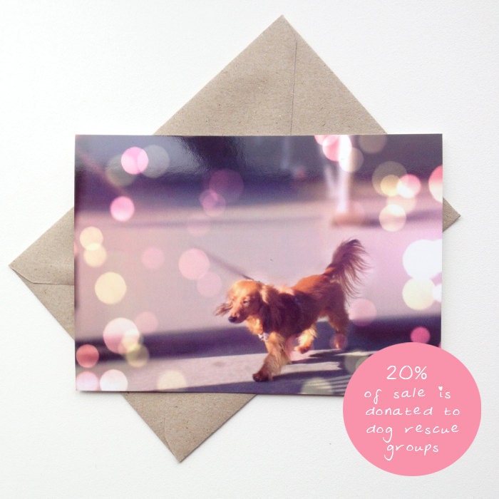Dog Walk in Paris - Postcard with Envelope by Chris