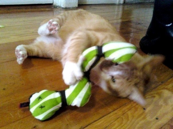 Catnip Snake Toy